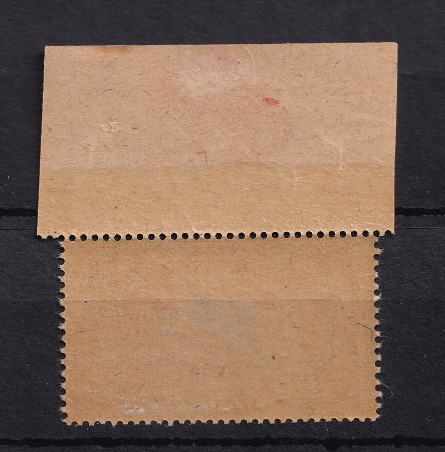France 1900 - Bord de feuille, papier GC neuf sans charnière - Yvert n°119d