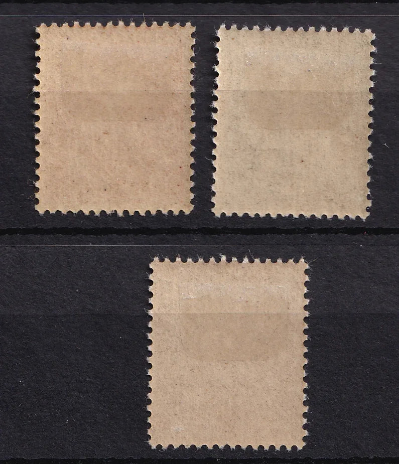 Indochine 1904/1906 - Superbe série - Yvert n°36/38