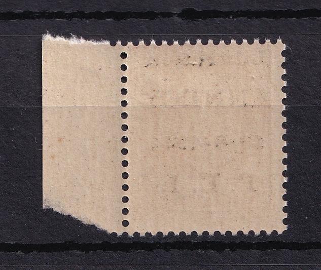 France 1944 - sans charnière, Libération de Annecy - Mayer n°1