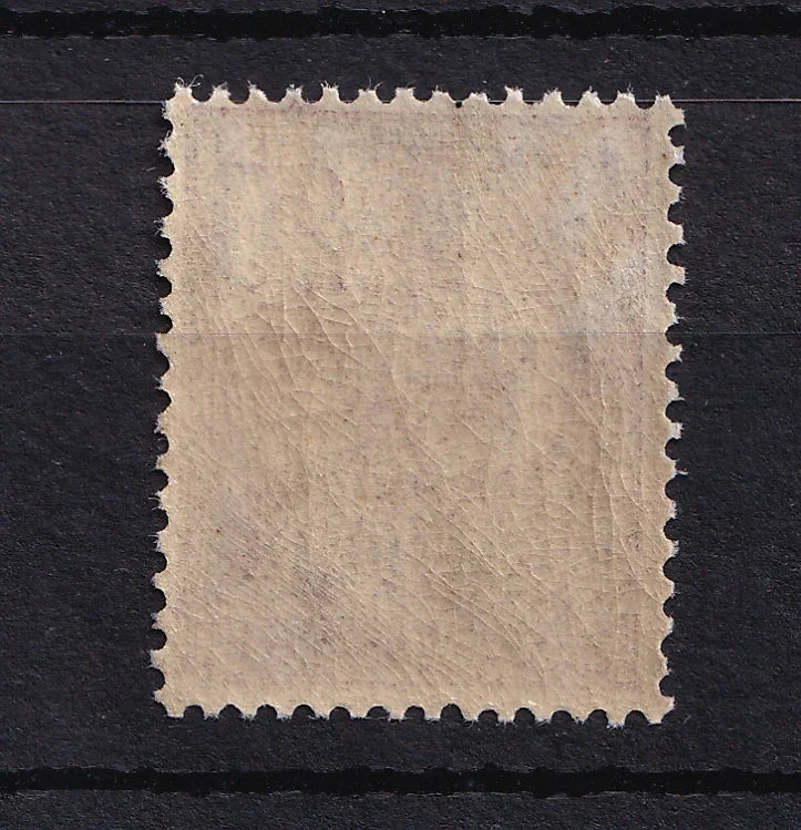 France 1900 - Sans charnière, 20c brun lilas type mouchon - Yvert n°113