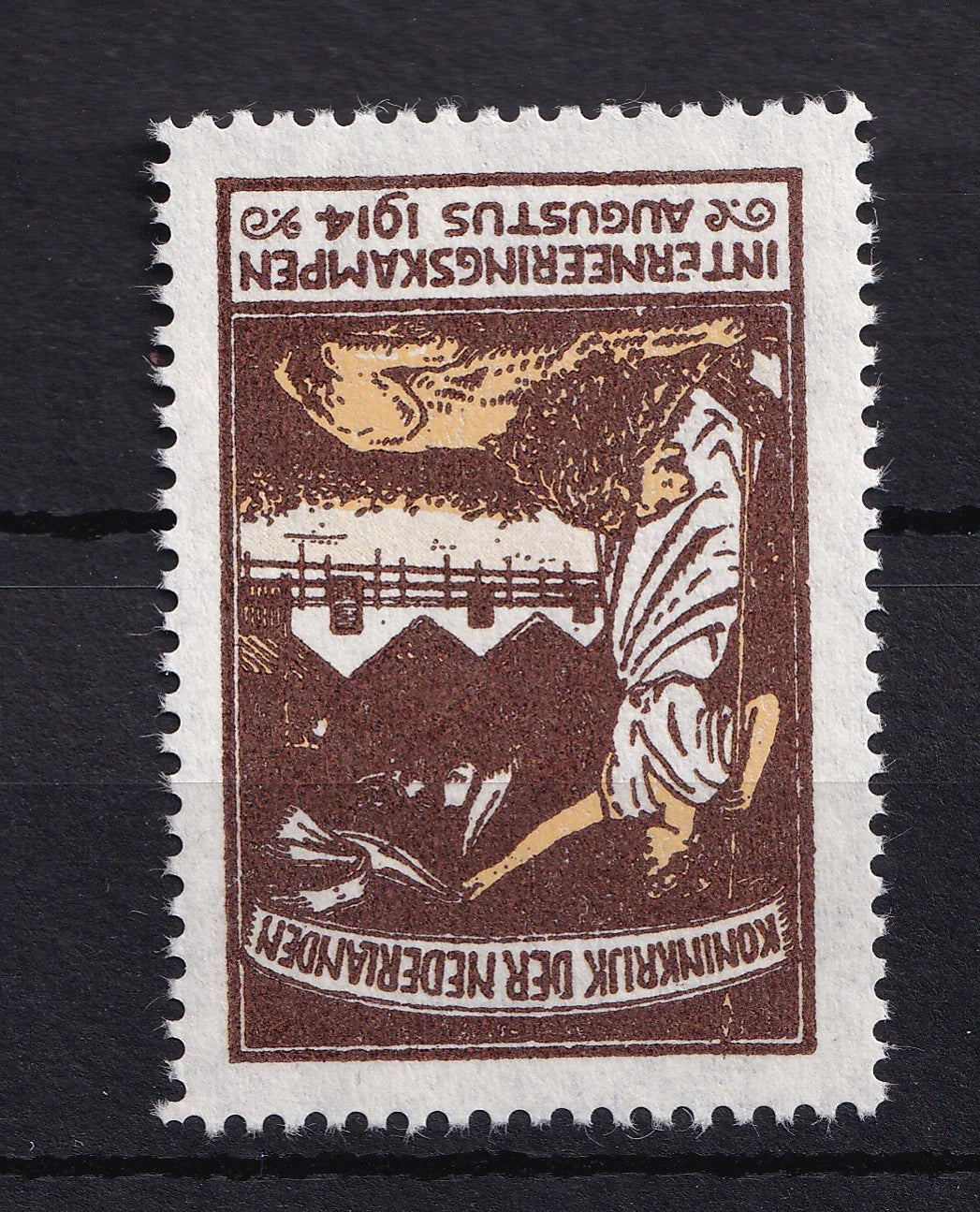 Pays-Bas 1916 - Zonder Waarde Aangifte Bruin - NVPH n°IN2