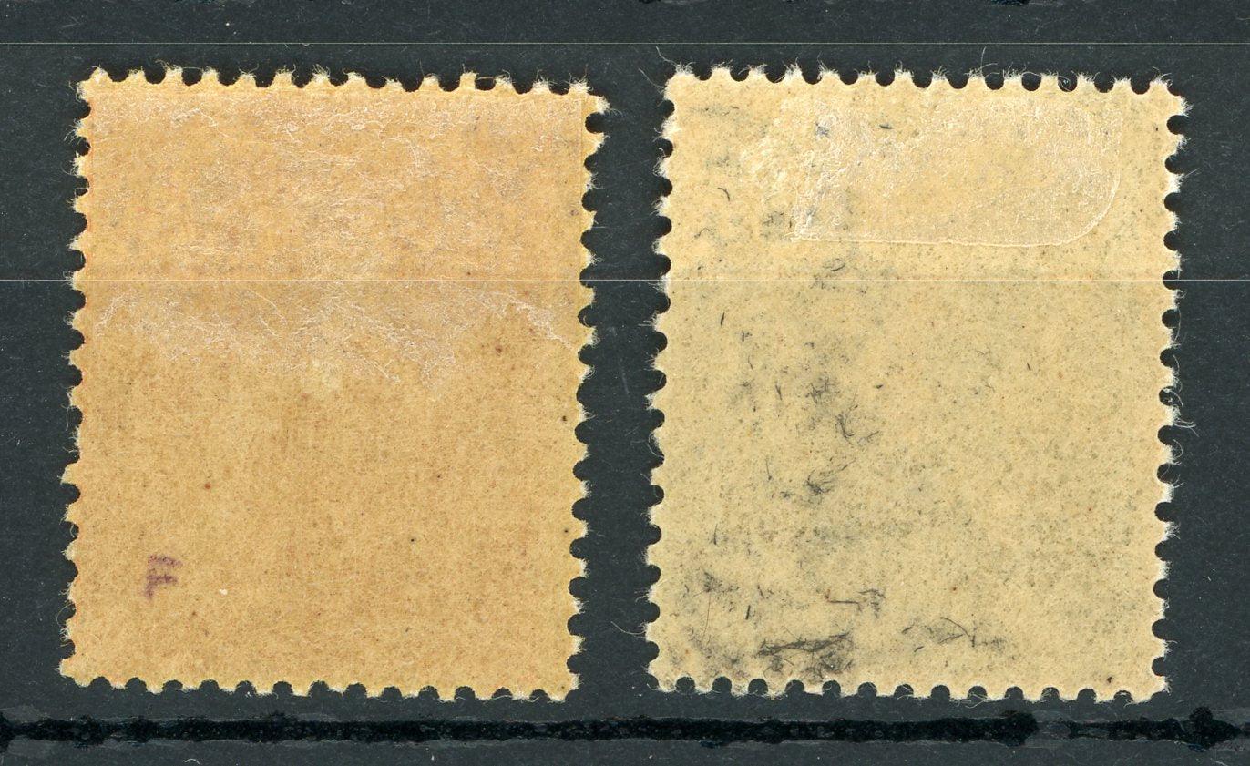 Indochine 1904/1906 - Série - Yvert n°36/37