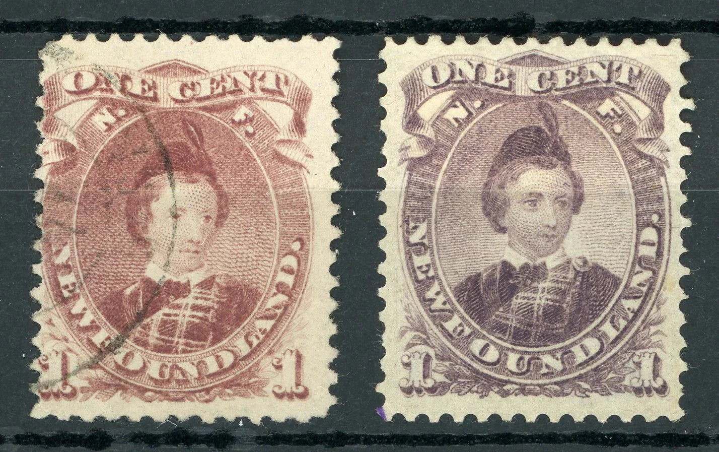Terreneuve 1866/1871 - Les 2 nuance, Violet Brun et Brun lilas - Yvert n°20 et 20a