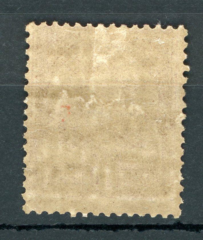 Tunisie 1888/1893 - Chiffre maigre, 75c rose sur rose - Yvert n°7