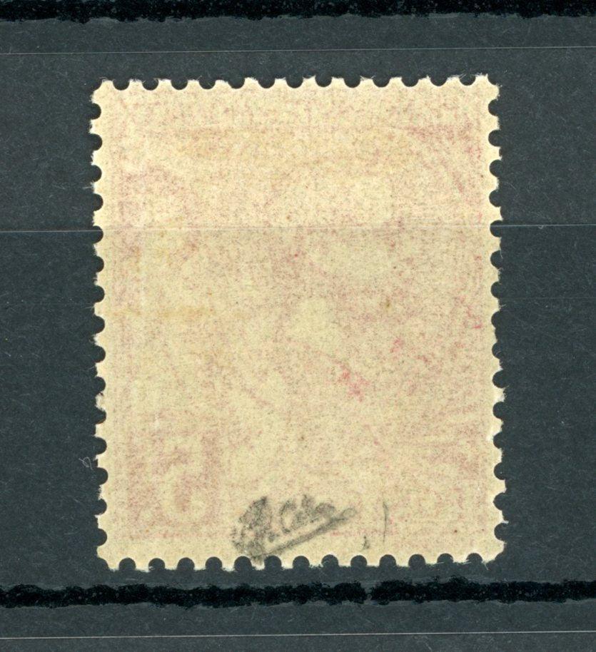 Monaco 1891/1894 - Signé Calves, Prince Albert 1er, 5Frs rose vif sur verdâtre - Yvert n°21 - Timbres-Et-Passion